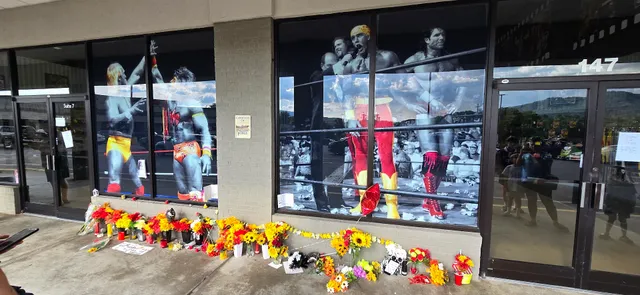 Hulk Hogan's Wrestling Shop