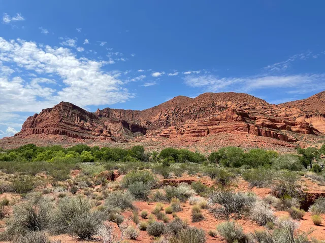 White Reef Trailhead