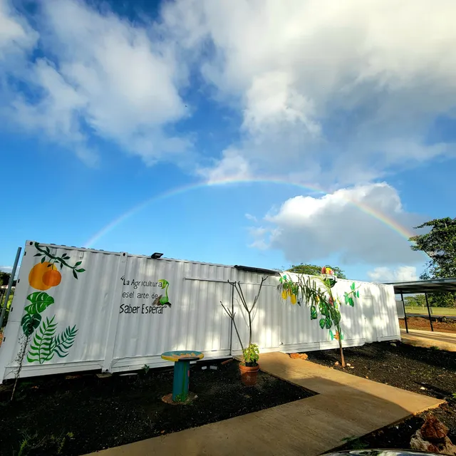 Manatí Healthy Market