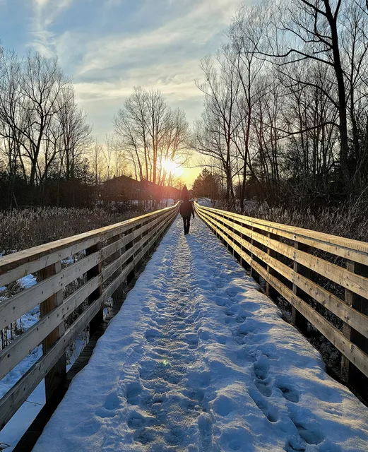 Oriole Trail Bridge and Boardwalk.
