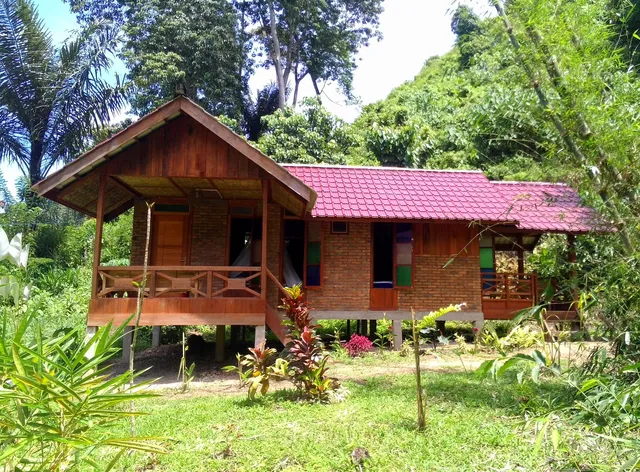 thousand hills ketambe,Sumatra Indonesia