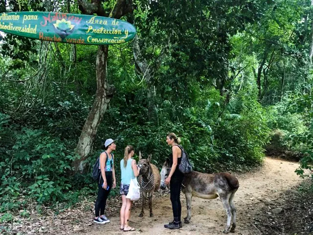 Natikari - Rancho Verde