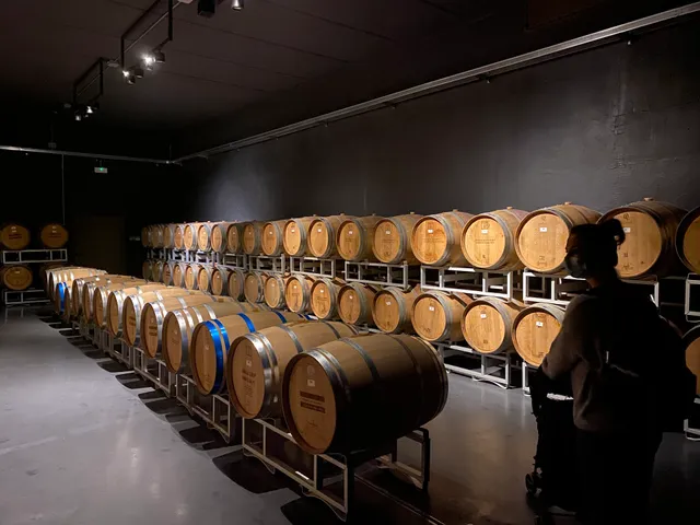 Famiglia Olivini - Vignaiuoli dal 1970