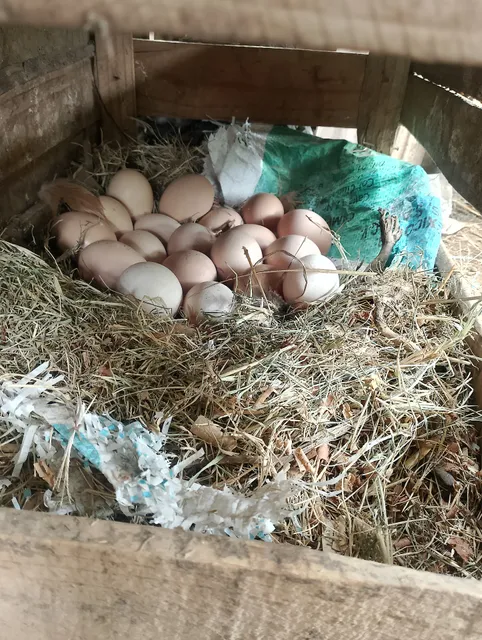 Albercas Alvarado (Balneario)