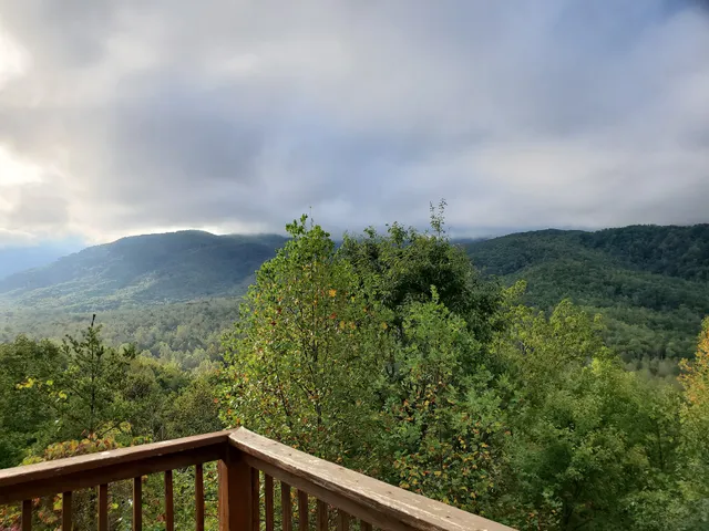 Parkside Cabin Rentals