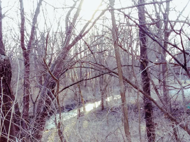 Cardinal Greenway 14th St. Trailhead