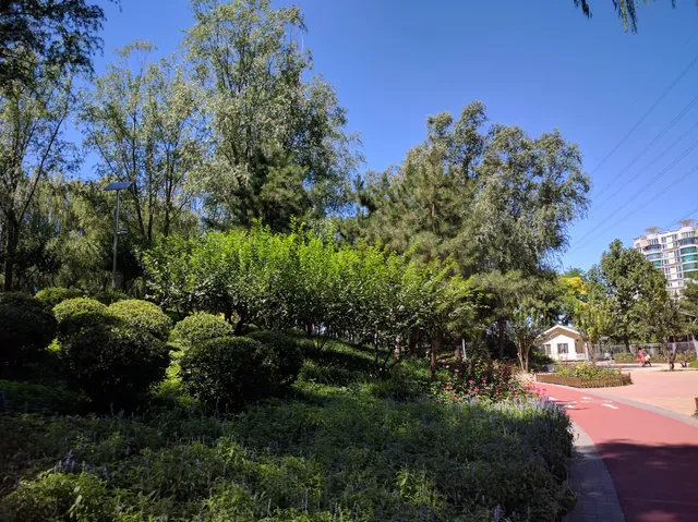 Changchun Fitness Park （East Gate 2）