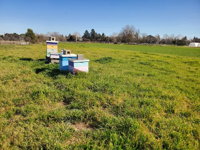 Soil Born Farms Urban Agriculture & Education Project