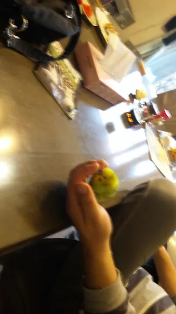 大衆居酒屋しゃく八