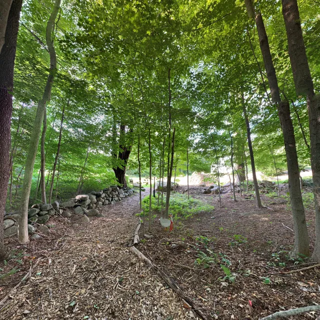 Marlborough Arts Center & Museum