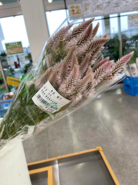 ファーマーズマーケット