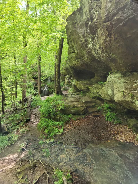 Hemlock Cliffs