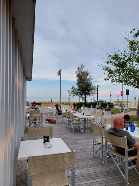 Bar Rikki Tikki Tavi