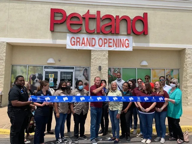 Petland Memphis
