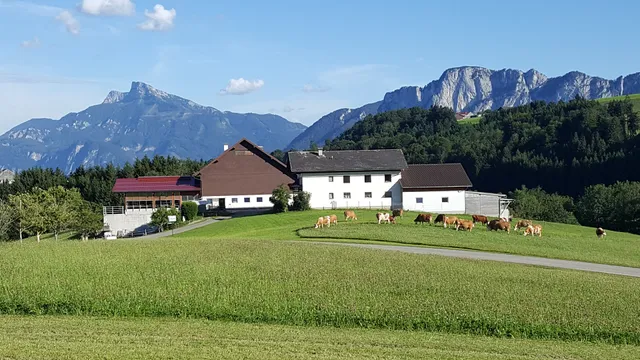 Bauernhof Knoblechner