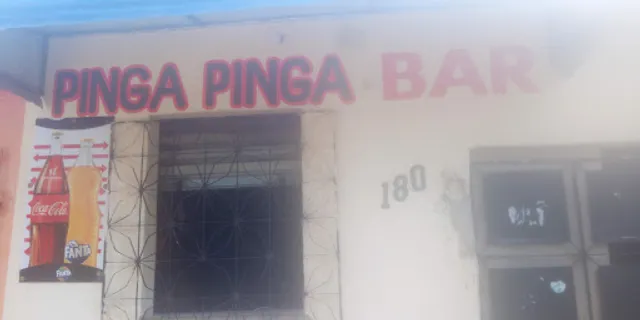 PINGAPINGA BRA