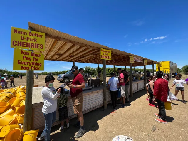 Maggiore Cherry Ranch