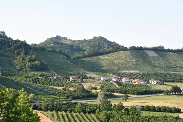 Casa Emy da Teresina