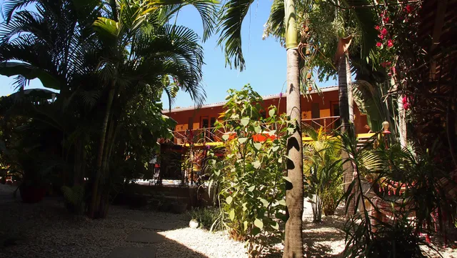 Samara Palm Lodge