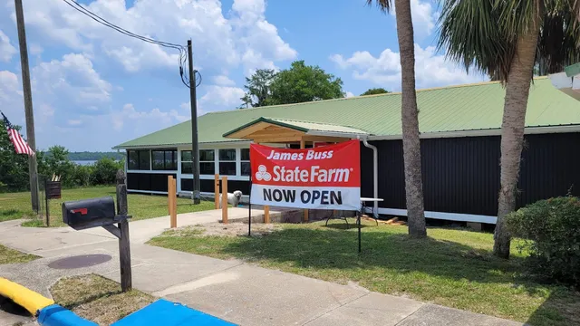 James Buss - State Farm Insurance Agent