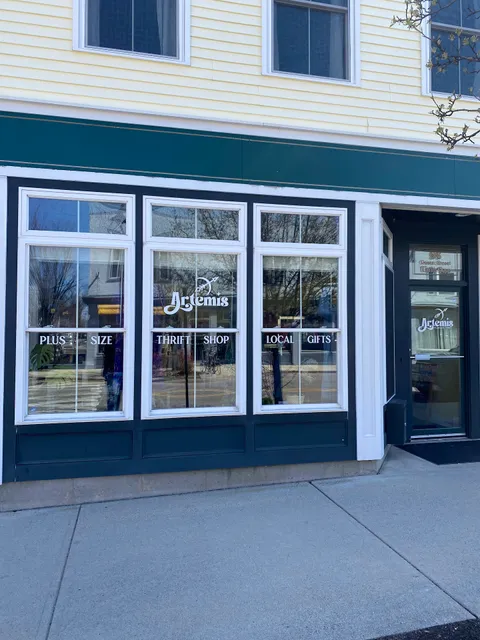 Artemis Plus Size Resale