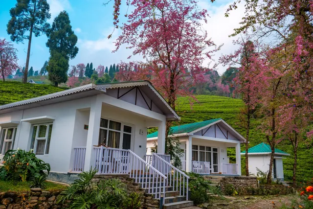 The Temi Bungalow, Eco Adventure Resorts