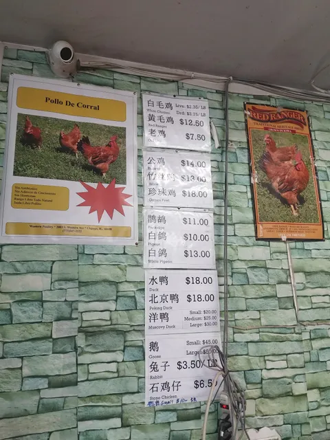 Western Poultry