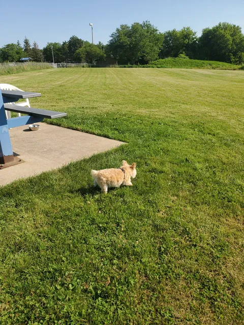 Sycamore Park Dog Park