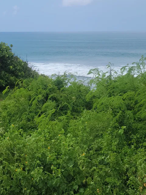 Reserva Natural de Las Cabezas de San Juan