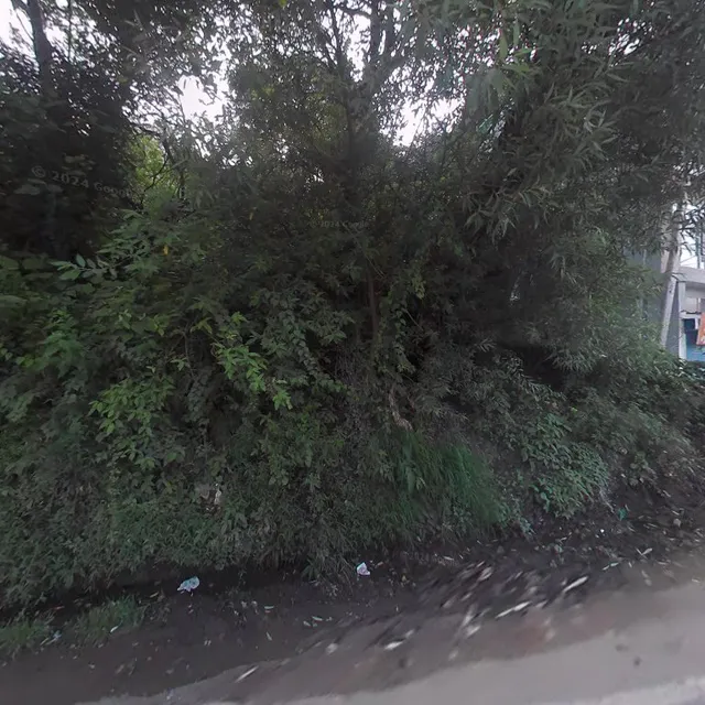 OYO Home 70420 Cozy Studio Rajgarh Road