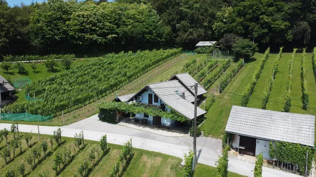 Vineyard Cottage Meglic