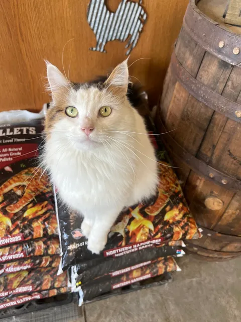 Genesee Valley Feeds