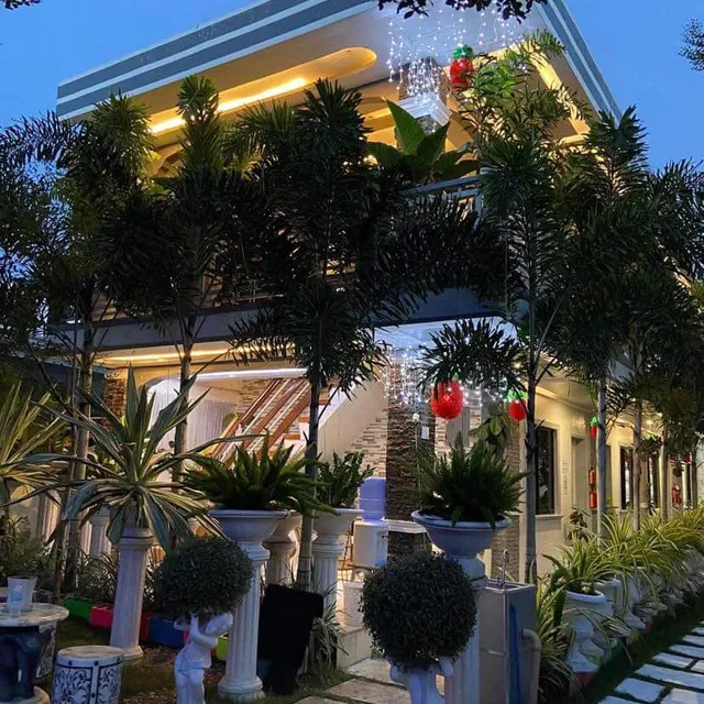 The Veehive Guesthouse