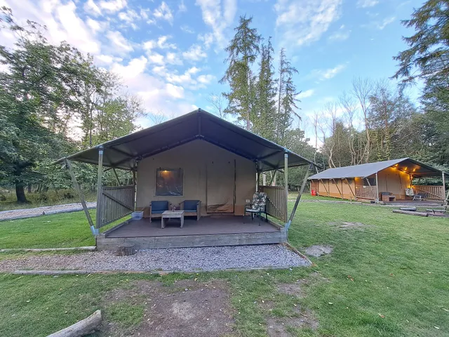 Worth Forest Glamping