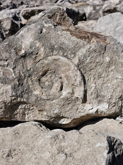 Coralville Reservoir
