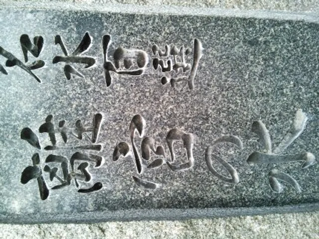 photo-3