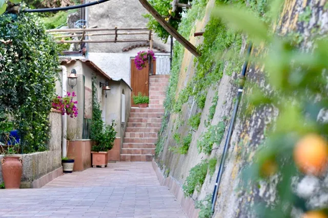 Il Limoneto di Teresa Amalfi Coast