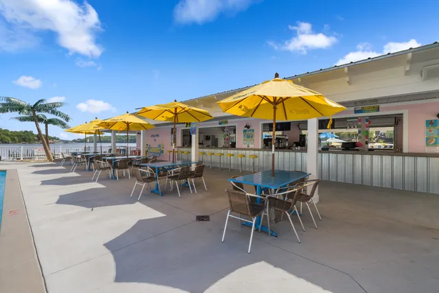 Coconuts At The Lake