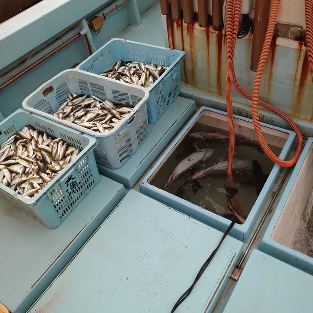 平松とれとれ朝市