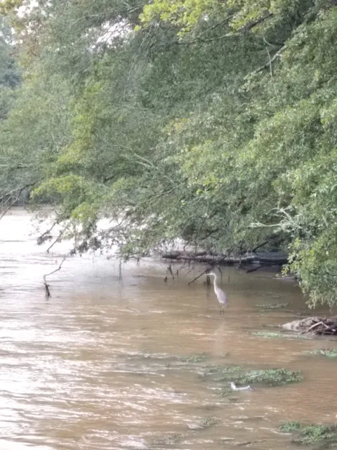 Jones Bridge Park North Trailhead