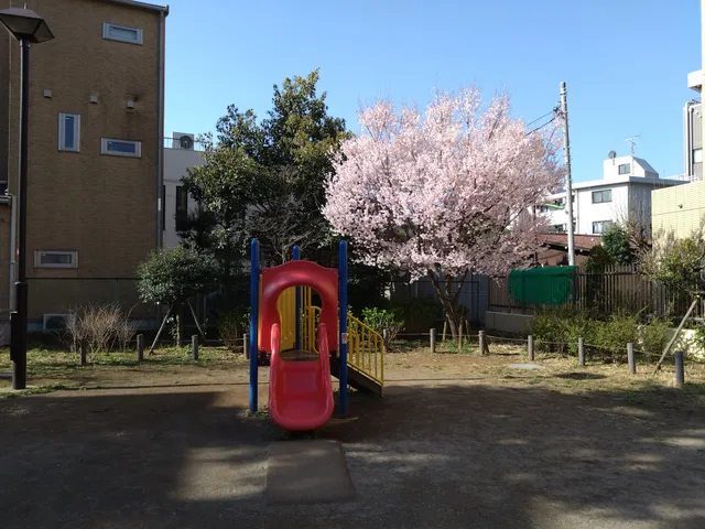Setagaya Kuritsu Wakabayashimomiji Park