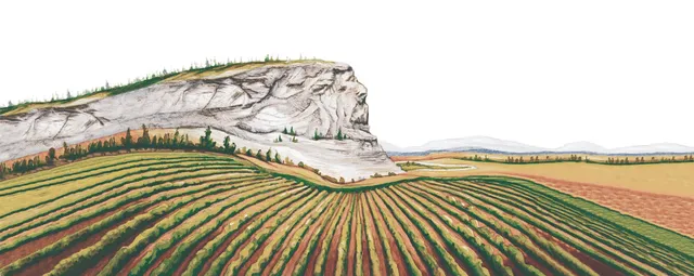 Covert Farms Family Estate