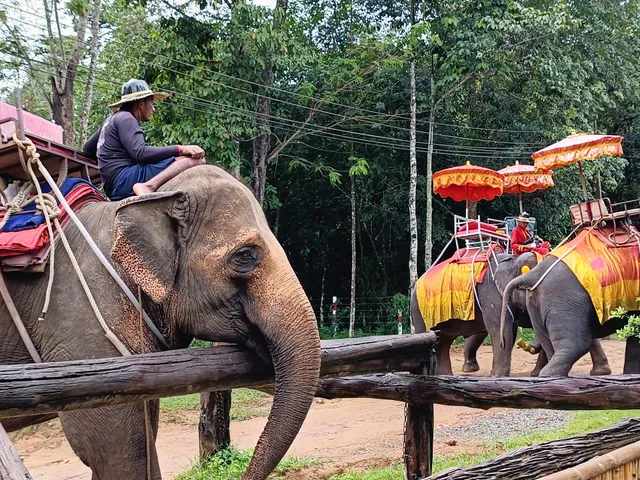 Chang Puak Elephant Camp Hat Yai