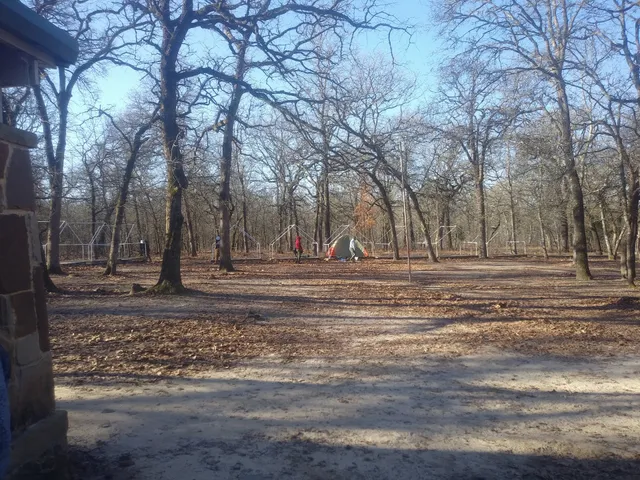 Black Bear Camp Site
