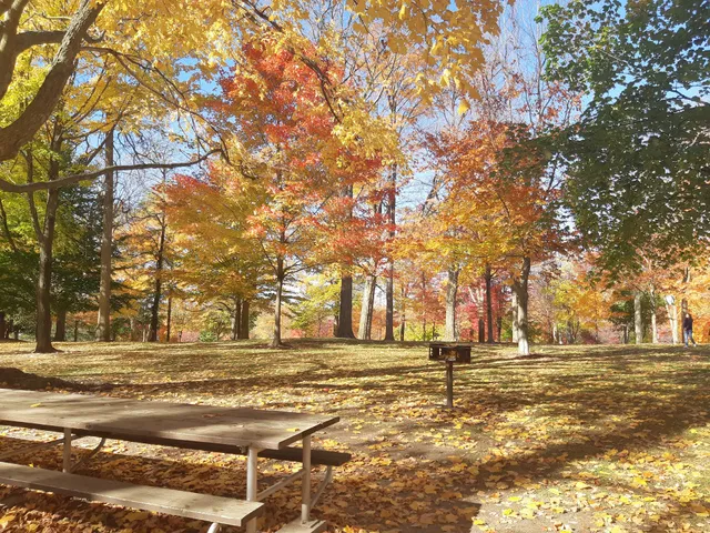 Upper Queen's Park Stratford