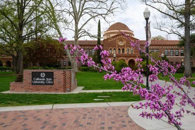 California State University, Chico