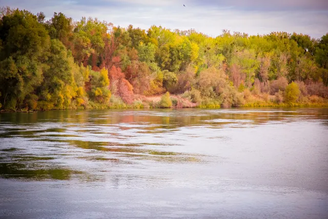 Colusa Sac River State Park