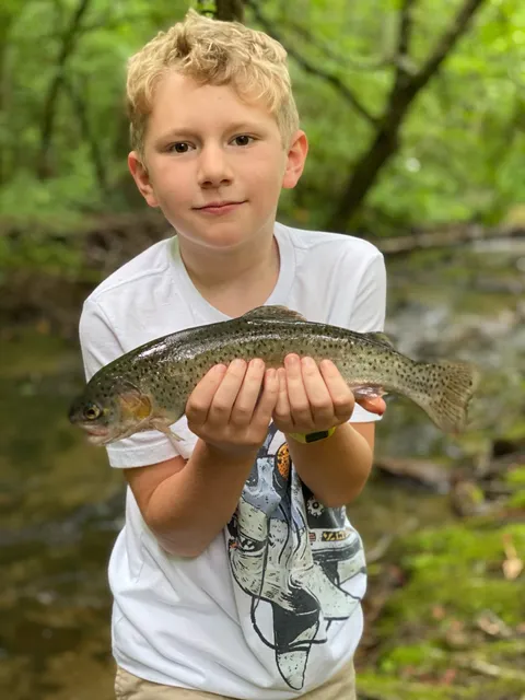 Otter Creek Trout Farm