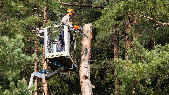 Country View Assisted Living