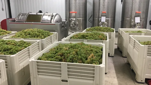 Five Vines Winery, LLC